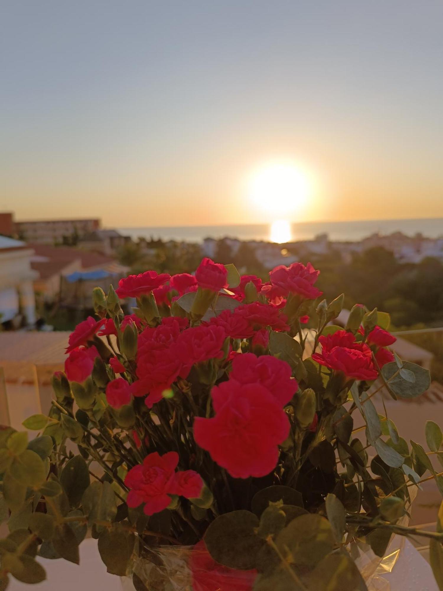 Rising Sun Bungalow Torrevieja Exteriér fotografie